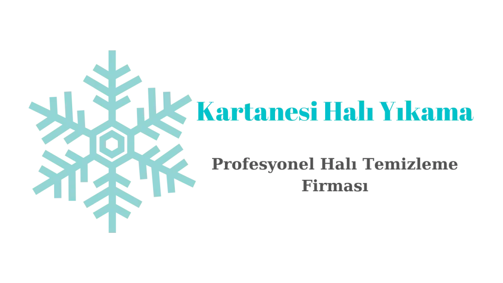Kartanesi Halı Yıkama