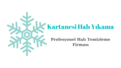 Kartanesi Halı Yıkama